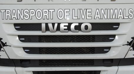 Lebendtiertransporte bei Hitze in der Kritik