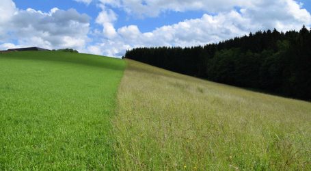 Abgestufte Grünlandbewirtschaftung für mehr Naturschutz