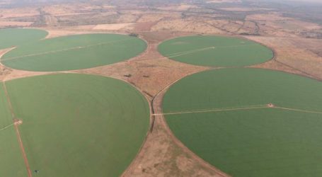 Köstinger und Anschober gegen geschwächte EU-Pestizidvorschriften