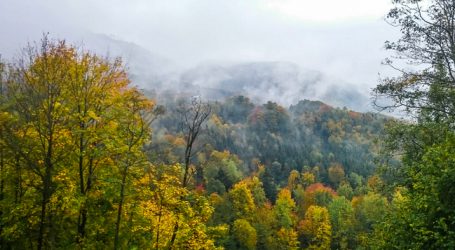 Schweiz will Agrarpolitik neu ordnen