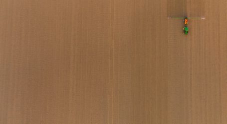 Zulassung für Chlorpyrifos soll nicht verlängert werden