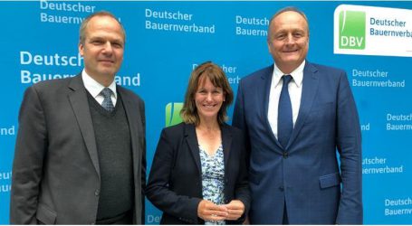 Bauernverbände gegen „No-Deal-Brexit“