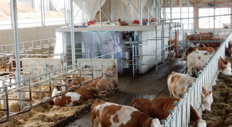 Entlastung am Milchmarkt