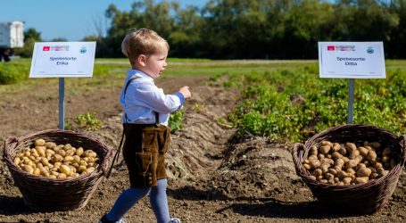 Großer Andrang bei Tullner Betaexpo
