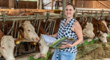 Null Regenwald für Schärdinger-Milch