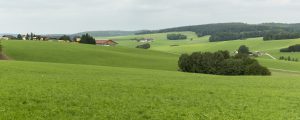 Landwirtschaft als Karbonsenke