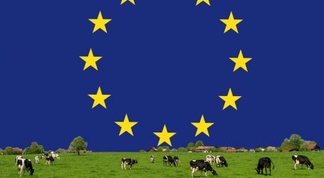 EU – Hilfe bei Brexitschäden