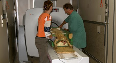 Rektorin der Vetmeduni Wien wiedergewählt