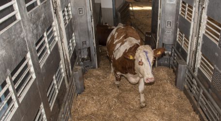 Mehr Kontrollen am Transportweg