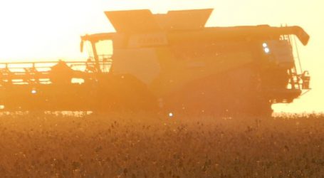 Deutsche Bauern befürchten Strukturbruch wegen Klimapaket