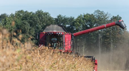Bayer trotz vieler Kläger gut unterwegs