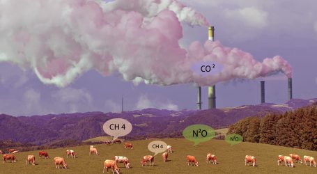Agrarkommissarskandidat Wojciechowski übersteht zweite Befragung