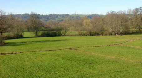 Kommissionskandidat will mehr Geld für Klimaschutz