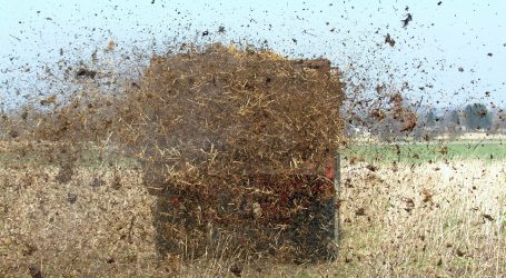 EU-Kommission startet mit Verminderungen