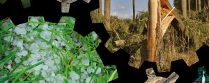GAP mit Klimaschutz enger verzahnen