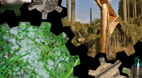GAP mit Klimaschutz enger verzahnen
