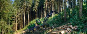 Klimawandel kostet die Bundesforste 40 Millionen