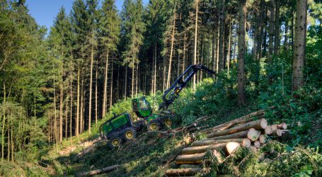 Klimawandel kostet die Bundesforste 40 Millionen