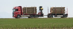 Gewichtslimit für Holztransporte verlängert