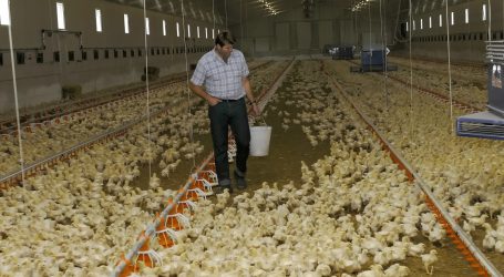 Geflügelwirtschaft auf Prüftour