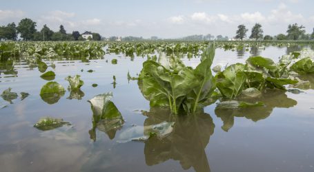 Madrider Konferenz bedroht Agrarwirtschaft