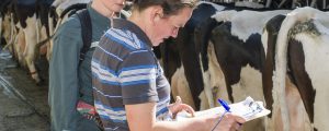 Tierärzte-Uni wird regionaler