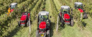 Massey Ferguson mit Zuckerl bei Austro Vin