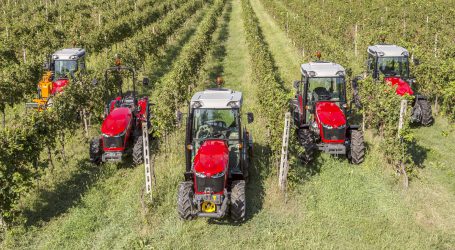 Massey Ferguson mit Zuckerl bei Austro Vin