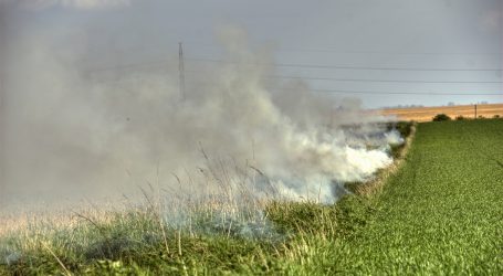 Australische Milchfarmer auf Jahre geschädigt
