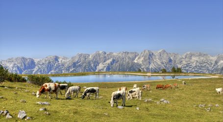 Agrarkommissar kommt zur Wintertagung