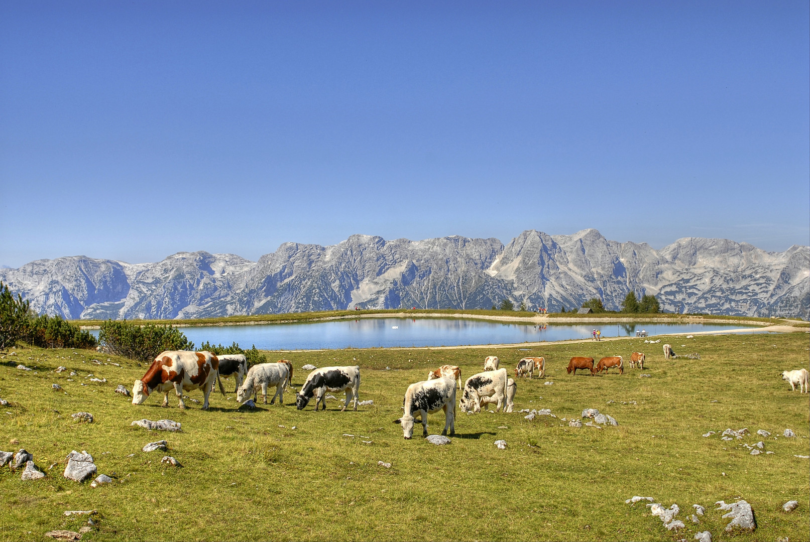 Partnersuche blick ins land