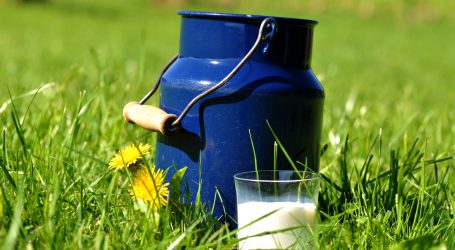 Molkereibranche will einheitliche Kommunikation