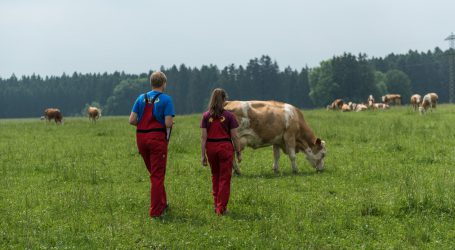 LK-Oberösterreich macht Grünlandbauern klimafit