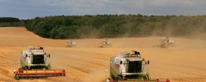 EU-Parlamentarier im Agrarausschuss noch uneins