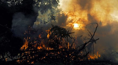 Buschbrände treffen auch die Farmer