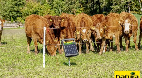Patura setzt auf Sonne