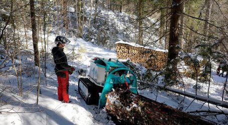 Pfanzelt schickt neue Forstraupe aus