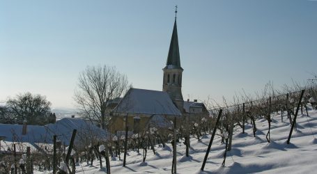 Hohe Anzahl Wahlberechtigter bei LK-Wahl in NÖ