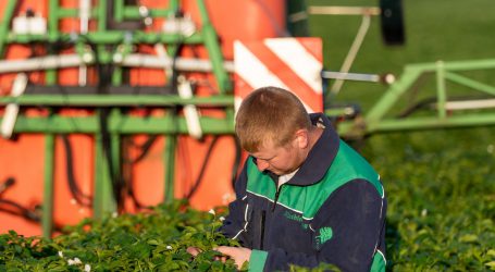 Österreichs Bauern schon jetzt vorbildlich bei Pflanzenschutz