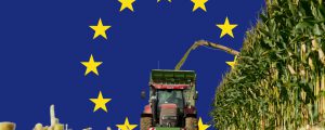 EU-Parlament für Strenge bei Brexit