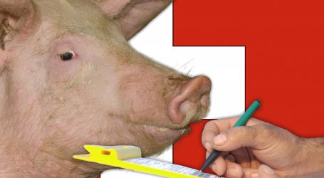 Schweizer Regierung lehnt Volksinitiative ab