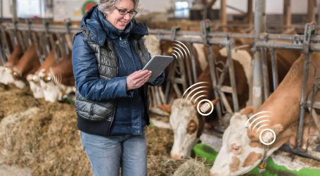 LFS Tamsweg nutzt digitale Gesundheitswächter