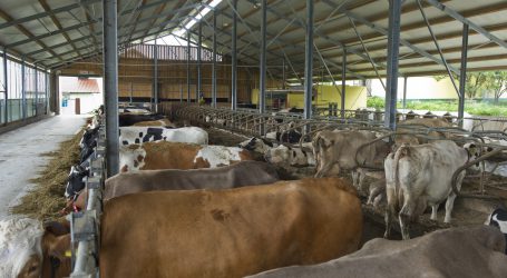 Digitale Agrardaten für Gängelungszwecke