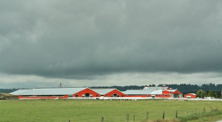 EU-Milchbranche braucht mehr Konkordanz