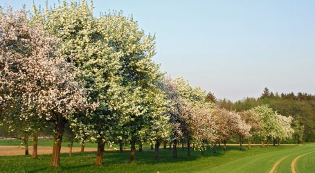 Absage Vollversammlung der ARGE Agroforst