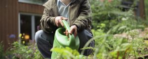 Green Care Tagung am 23. April