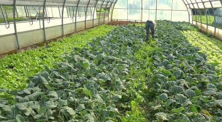 LK-Plattform für Arbeitskräftevermittlung in Wien und NÖ