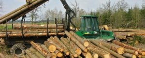 Schadholzbringung steht auf dem Spiel