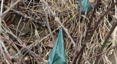Hundekot ist gefährlicher Müll, kein Dünger