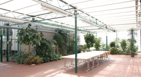 Gartenbauschüler planten begrünte Wintergärten